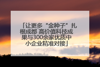 让更多“金种子”扎根成都 高价值科技成果与300余家优质中小企业精准对接