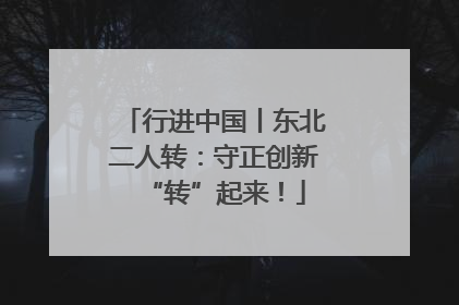 行进中国丨东北二人转：守正创新“转”起来！