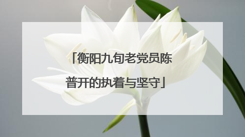 衡阳九旬老党员陈普开的执着与坚守