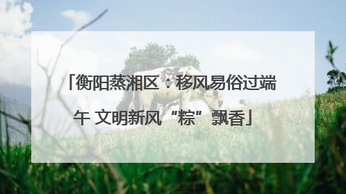 衡阳蒸湘区：移风易俗过端午 文明新风“粽”飘香