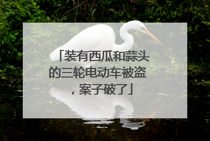 装有西瓜和蒜头的三轮电动车被盗，案子破了