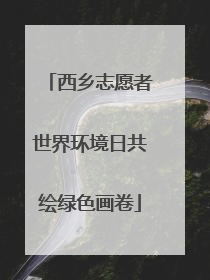 西乡志愿者世界环境日共绘绿色画卷