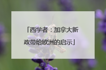 西学者：加拿大新政带给欧洲的启示
