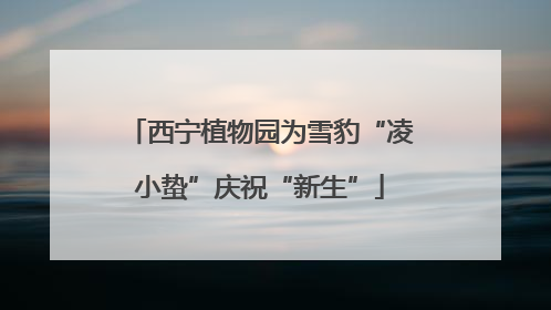 西宁植物园为雪豹“凌小蛰”庆祝“新生”