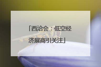 西洽会：低空经济展商引关注