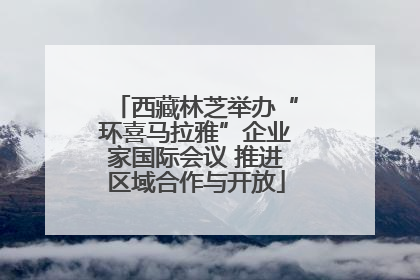 西藏林芝举办“环喜马拉雅”企业家国际会议 推进区域合作与开放