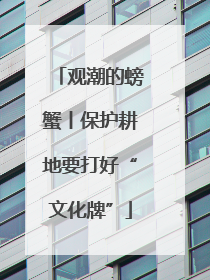 观潮的螃蟹丨保护耕地要打好“文化牌”