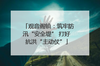 观音阁镇：筑牢防汛“安全堤” 打好抗洪“主动仗”