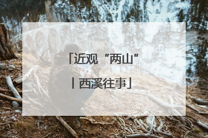 近观“两山”丨西溪往事