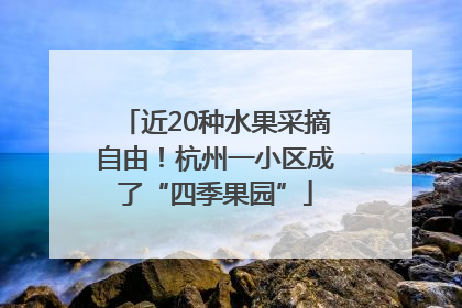 近20种水果采摘自由！杭州一小区成了“四季果园”
