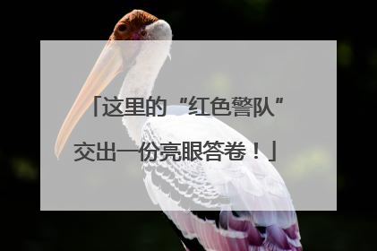 这里的“红色警队”交出一份亮眼答卷！