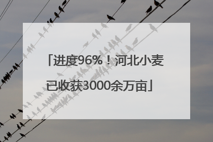 进度96%！河北小麦已收获3000余万亩