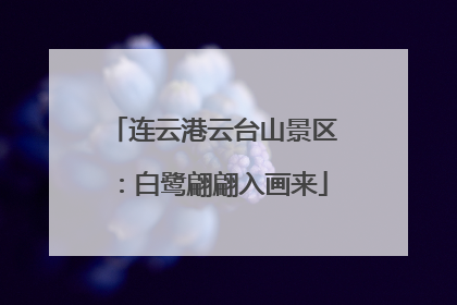 连云港云台山景区：白鹭翩翩入画来