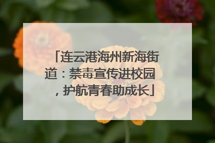 连云港海州新海街道：禁毒宣传进校园，护航青春助成长