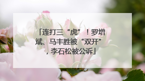 连打三“虎”！罗增斌、马丰胜被“双开”，李石松被公诉