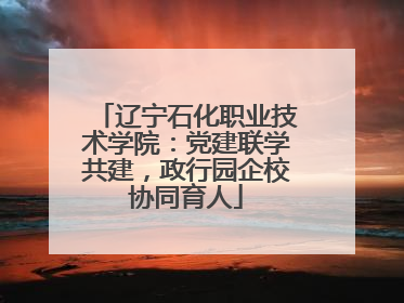 辽宁石化职业技术学院：党建联学共建，政行园企校协同育人