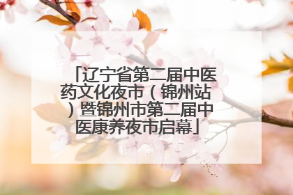 辽宁省第二届中医药文化夜市（锦州站）暨锦州市第二届中医康养夜市启幕