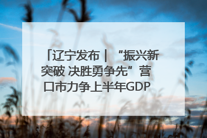 辽宁发布｜“振兴新突破 决胜勇争先”营口市力争上半年GDP增长6%左右