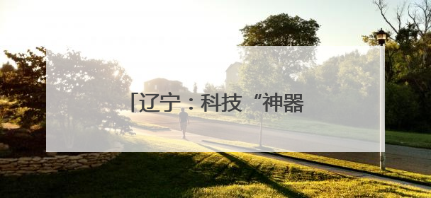 辽宁：科技“神器”为农田夏管护航