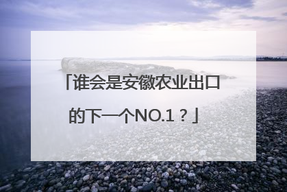 谁会是安徽农业出口的下一个NO.1？