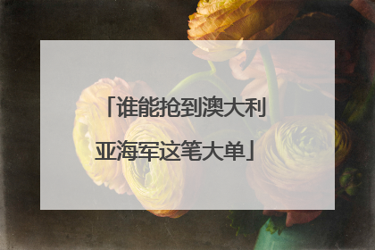 谁能抢到澳大利亚海军这笔大单