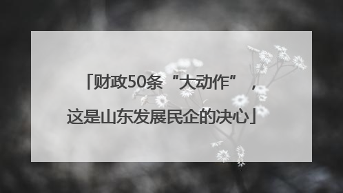 财政50条“大动作”，这是山东发展民企的决心