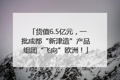 货值6.5亿元，一批成都“新津造”产品组团“飞向”欧洲！
