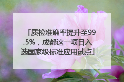 质检准确率提升至99.5%，成都这一项目入选国家级标准应用试点