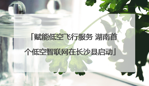 赋能低空飞行服务 湖南首个低空智联网在长沙县启动