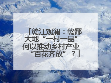 赣江观澜：赣鄱大地“一村一品”何以推动乡村产业“百花齐放”？