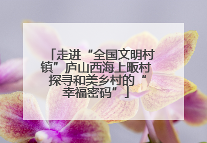 走进“全国文明村镇”庐山西海上畈村 探寻和美乡村的“幸福密码”