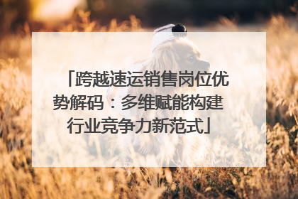 跨越速运销售岗位优势解码：多维赋能构建行业竞争力新范式