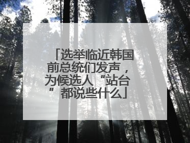 选举临近韩国前总统们发声，为候选人“站台”都说些什么