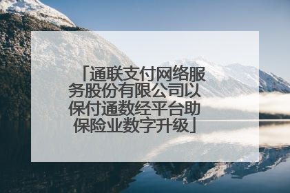 通联支付网络服务股份有限公司以保付通数经平台助保险业数字升级