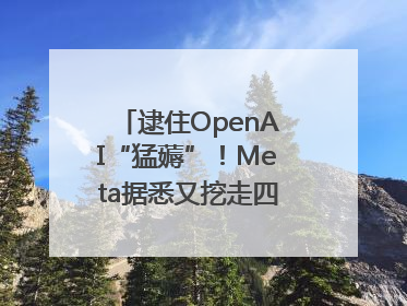 逮住OpenAI“猛薅”！Meta据悉又挖走四位知名研究人员