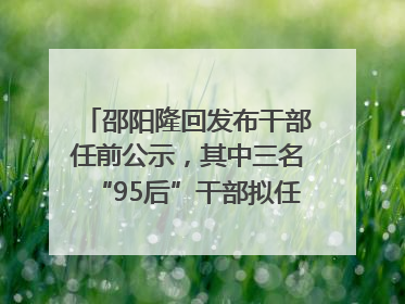 邵阳隆回发布干部任前公示，其中三名“95后”干部拟任副科级领导，均系硕士选调生