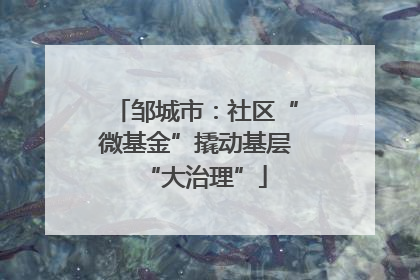 邹城市：社区“微基金”撬动基层“大治理”