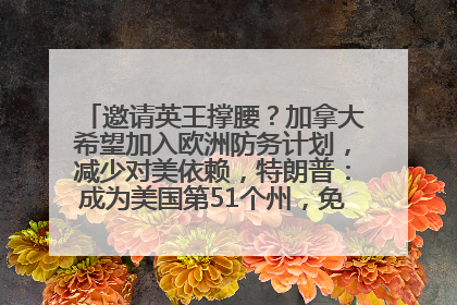 邀请英王撑腰？加拿大希望加入欧洲防务计划，减少对美依赖，特朗普：成为美国第51个州，免费用“金穹”