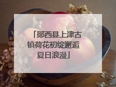 郧西县上津古镇荷花初绽邂逅夏日浪漫