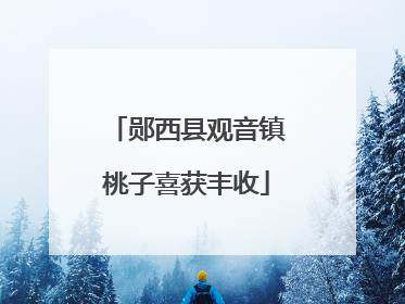 郧西县观音镇桃子喜获丰收