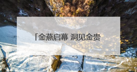 金燕启幕 洞见金贵 SCOTCH 燕窝中国新品发布会盛大举行