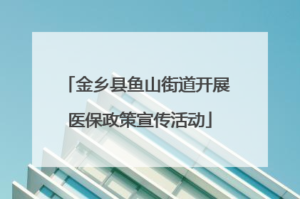 金乡县鱼山街道开展医保政策宣传活动
