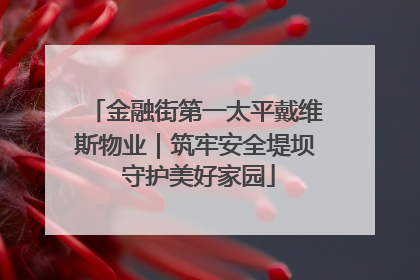 金融街第一太平戴维斯物业｜筑牢安全堤坝 守护美好家园