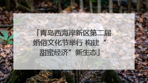 青岛西海岸新区第二届婚俗文化节举行 构建“甜蜜经济”新生态
