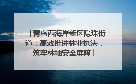 青岛西海岸新区隐珠街道：高效推进林业执法，筑牢林地安全屏障