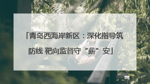 青岛西海岸新区：深化指导筑防线 靶向监督守“薪”安