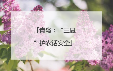 青岛：“三夏”护农话安全