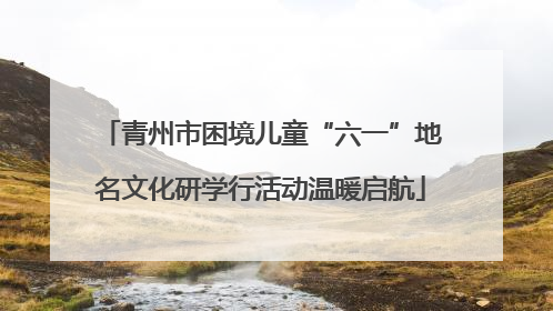 青州市困境儿童“六一”地名文化研学行活动温暖启航