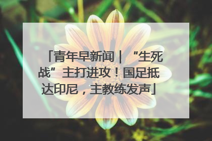 青年早新闻｜“生死战”主打进攻！国足抵达印尼，主教练发声