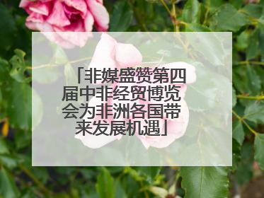 非媒盛赞第四届中非经贸博览会为非洲各国带来发展机遇